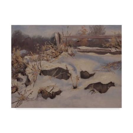Rusty Frentner 'Snow Mounds' Canvas Art,18x24